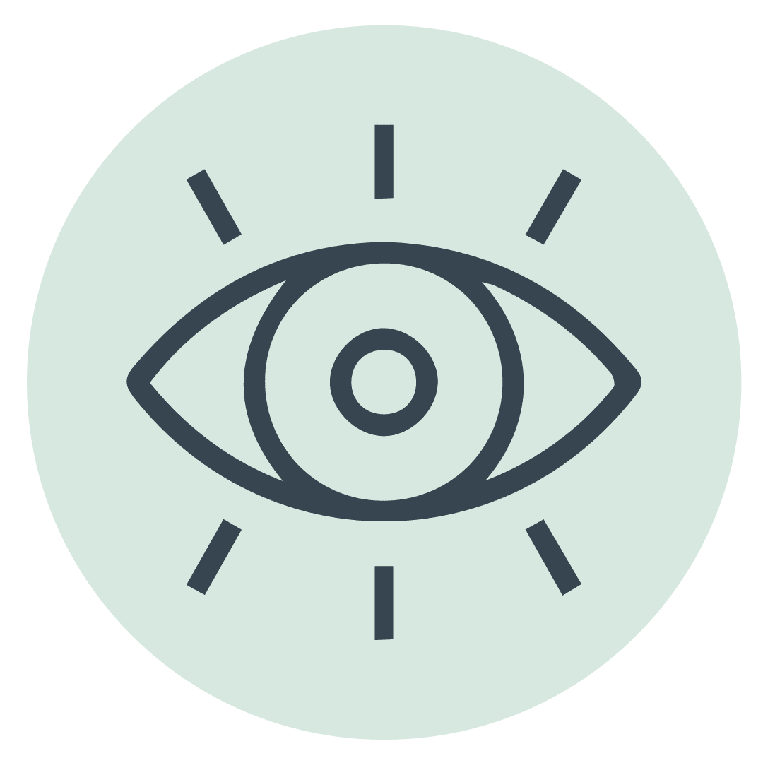 Visión