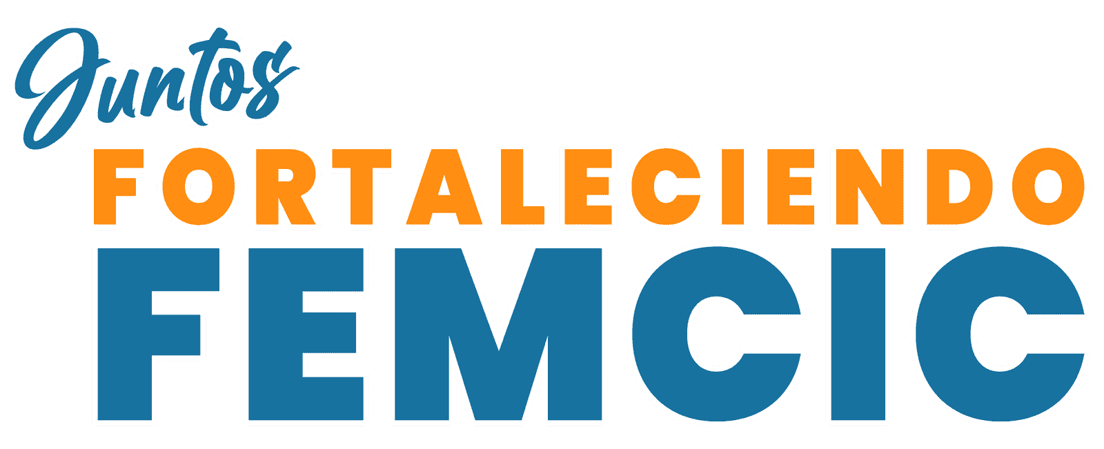 Fortaleciendo Femcic
